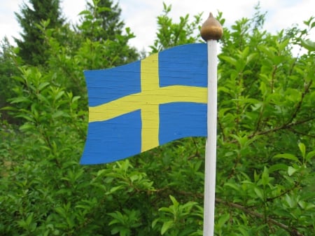 National Day June 6 Sweden 2014 - garden, Sweden, bushes, colors, flag