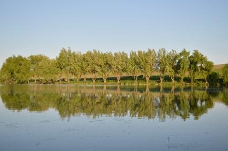 trees - lakes, lake, romania, trees