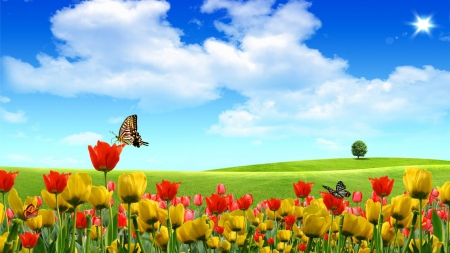 Flower Field - yellow, colour, blue, grass, plant, pink, peace, livingdoll, animal, red, field, color, sky, sun, flower, tree, black, white, nature, green, cloud, butterfly, insect, peaceful