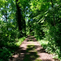 The Great Outdoors