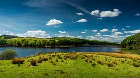 grassy riverbank - sky, shore, river, grass