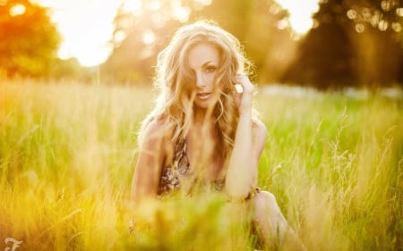 blonde in field light - beauty, field, blonde, light