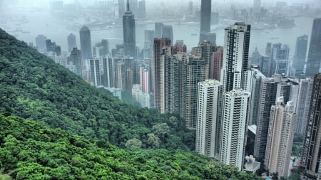 hong kong skyscrapers by a forested mountain hdr - fog, hdr, skyscrapers, city, forest, mountain