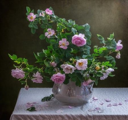 Still Life - vase, still life, roses, pink