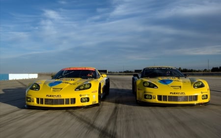 CORVETTE SEBRING DUO - sema show, hd cars wallpapers, socal customs, wallpapers up