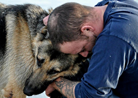 man with pet - dog, hugs, shepherd, service