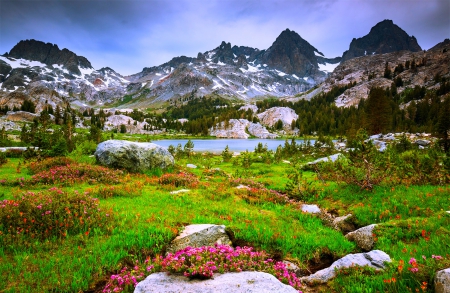 Lake Ediza, Sierra Nevada - blue, beautiful, snowy peaks, grass, forest, pink, wildflowers, white, California, red, green, lake, mountains