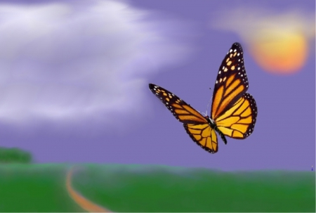 Just After Sunrise - butterfly, morning, sun, landscape