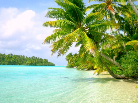 Aitutaki, Cook Islands - palm trees, turquoise, beach, white sand, polynesian, crystal waters, beautiful, lagoon, island