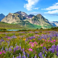 Glacier National Park