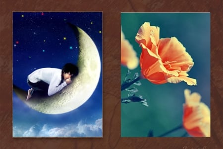 sweet dream - moon, night, dream, lovely, star, sleep, blue, boy, orange, sweet, hr, flower