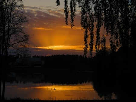 early in the morning - morning, rising, pond, sun