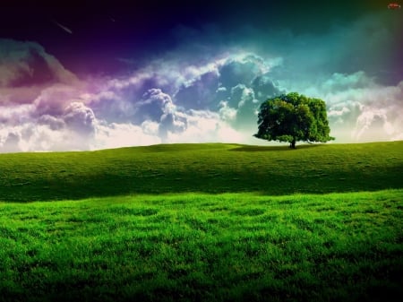 Open Field - clouds, blue, grass, shadow, tree, white, nature, green, field, sky