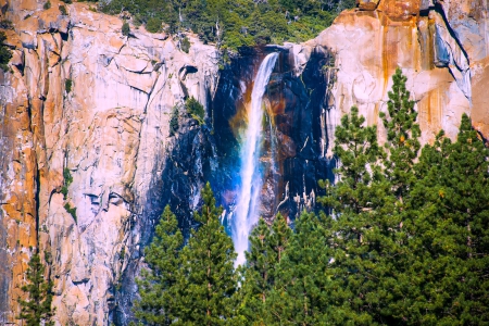 Yosemite Falls, California - rainbow, forest, mountain, waterfall, usa