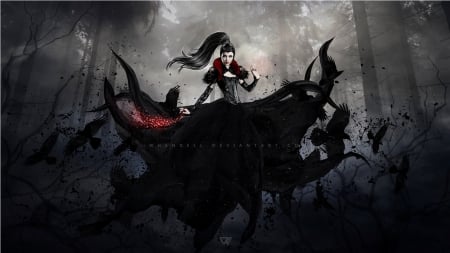 Lady of the crows - abstract, lady, fantasy, crows