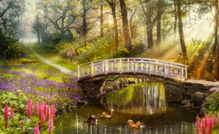 My Little Paradise - ducks, abstract, trees, bridge, fantasy