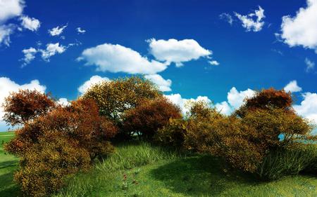 Woodland Hill - hill, clouds, shrubs, grass, bushes