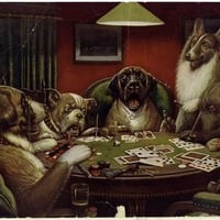 Dogs Playing Cards