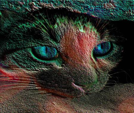 Fanasy Coloured Cat - art, unusual colour, cat