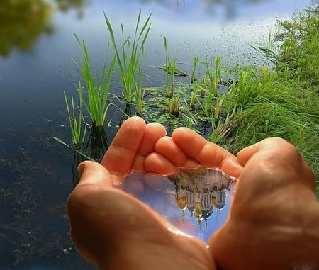 A Handful of Magic - reflexion, water, handful, swamp, buildings, grass