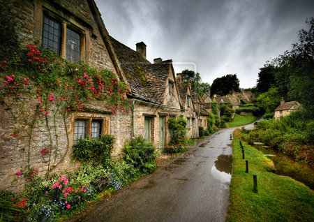 Arlington row - flowers, grass, rain, cottage