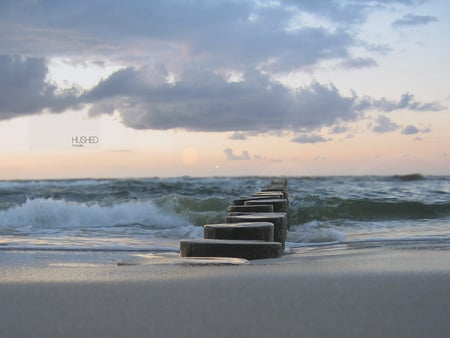 nature - nature, beach