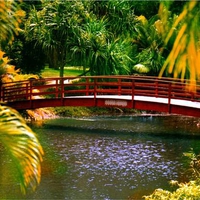 Botanical Gardens Bridge