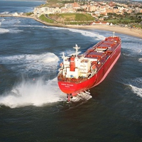 Pasha Bulker, Newcastle