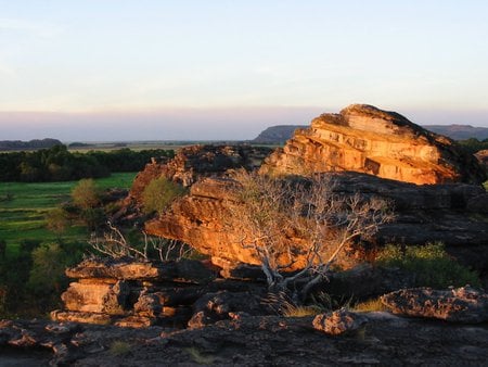 Rocky Scene - rock formation, grass, trees