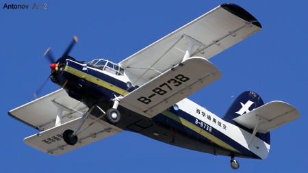 Antonov - Biplane, AN-22, Antonov, Plane