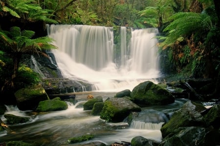 Amazing Place - water, forest, trees, waterfall