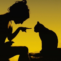 Kitty