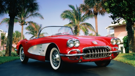 a classic red convertible chevrolet corvette - car, red, driveway, palms, convertable