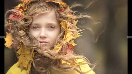 Fallen Leaves - Fallen, Child, Leaves, Wind