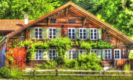 Beautiful old house - house, fields, beautiful, window, outdoor, colors, plant, nature, green, old, color, peaceful