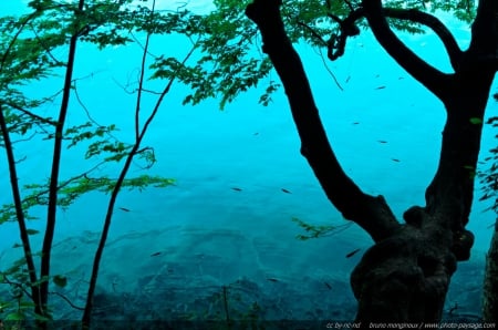 Bleu water - bleu, water, espectacular, lake, spectacular