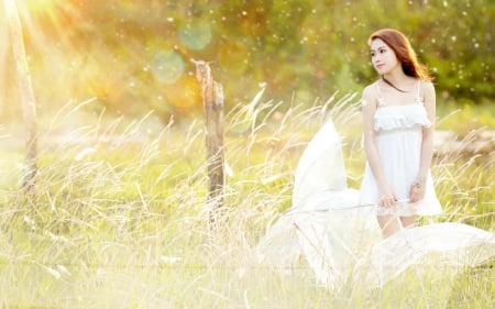 Asian Beauty - white, field, asian, umbrella