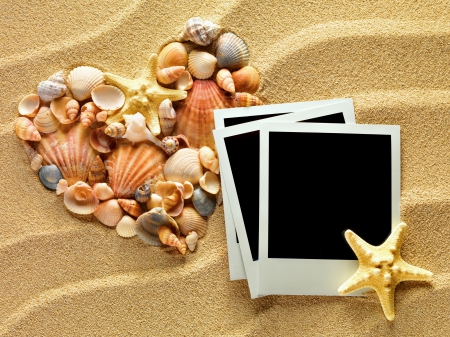 ♥Seashells♥