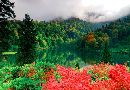 Forest lake - greenery, clouds, trees, beautiful, forest, reflection, calmness, nature, mirror, view, green, mist, serenity, lake, emerald, sky