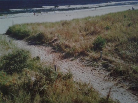 Beach - water, beach, grass, sea