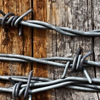 barbed wire wrapped around a wooden pole hdr