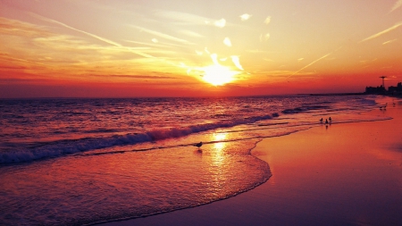 birds on a lovely beach at sunset - birds, sunset, beach, amusement park, waves, sea