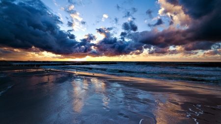 dark clouds at sunset over lovely beach - beach, dark, clouds, sunset, sea, birds