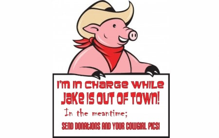 CowPig In Charge - western, cowboy, pigs, funny, out of town, signs