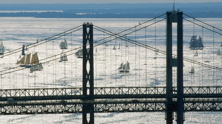 sailboat regatta by chesapeake bay bridges - bridges, shimmer, sunshine, sailboats, bay