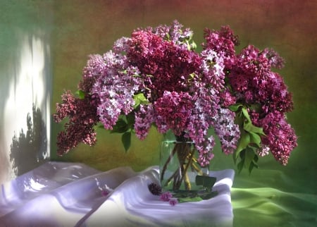 * Lilacs * - flowers, flower, nature, lilacs