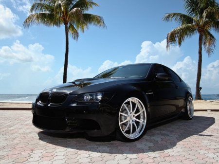 Day Under The Palm Trees - Other & Cars Background Wallpapers on