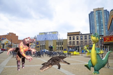 'gator day at rose square Brampton Ontario Canada