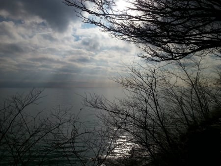 Lake scene - rays, scenery, lake, trees