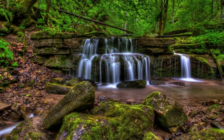 Big Branch Waterfall, West Virginia - Forest, Nature, Waterfall, USA